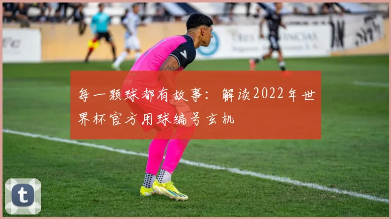 每一颗球都有故事：解读2022年世界杯官方用球编号玄机