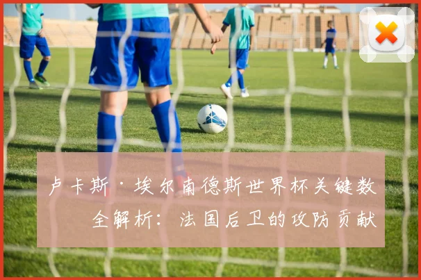卢卡斯·埃尔南德斯世界杯关键数据全解析：法国后卫的攻防贡献