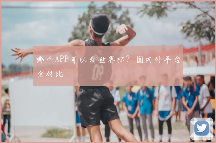 哪个APP可以看世界杯？国内外平台全对比