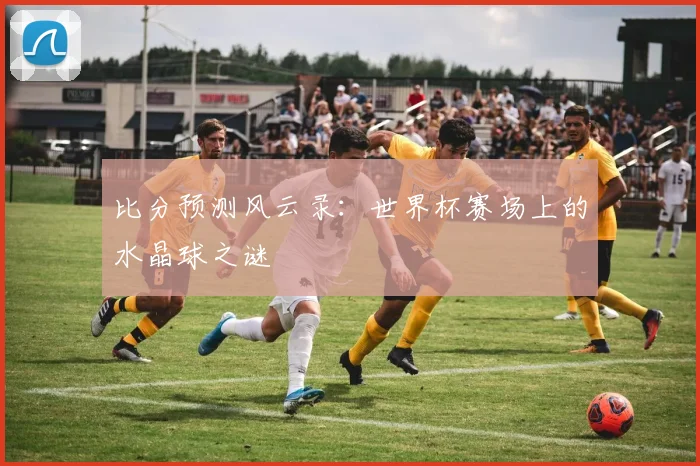 比分预测风云录：世界杯赛场上的水晶球之谜