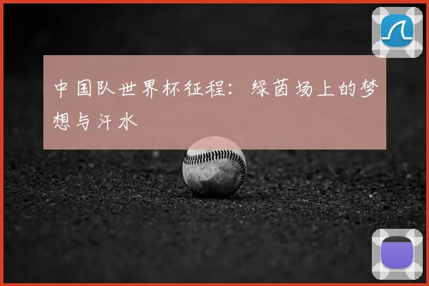 中国队世界杯征程：绿茵场上的梦想与汗水