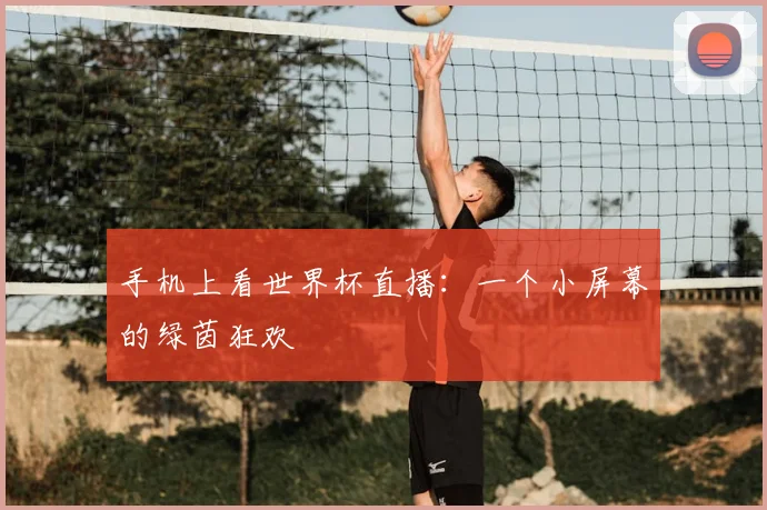 手机上看世界杯直播:一个小屏幕的绿茵狂欢