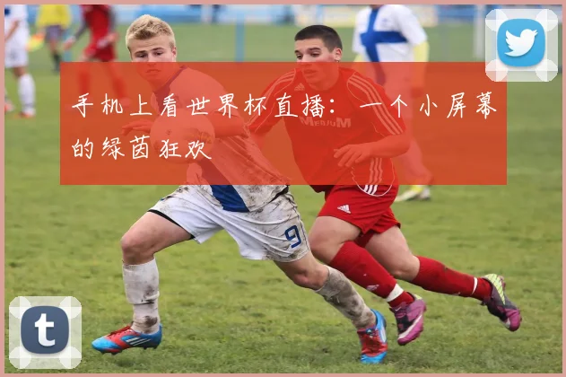 手机上看世界杯直播:一个小屏幕的绿茵狂欢