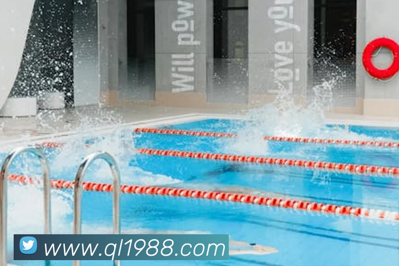 开云在线官网登录入口APP 封面图